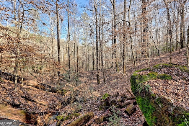 view of landscape featuring a forest view