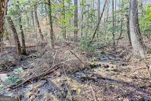 view of local wilderness featuring a wooded view