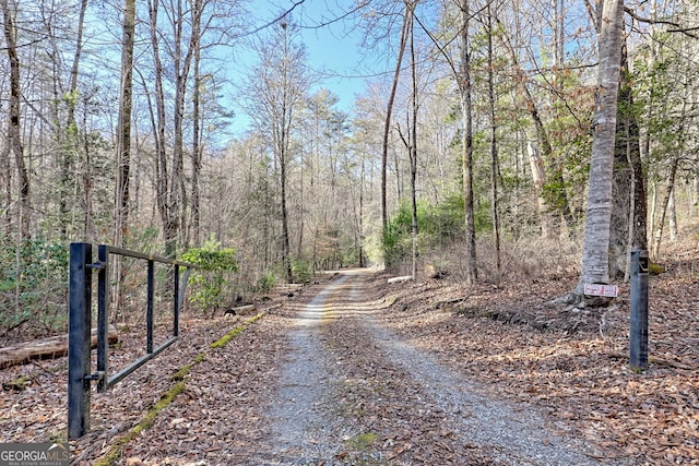 view of street with a wooded view