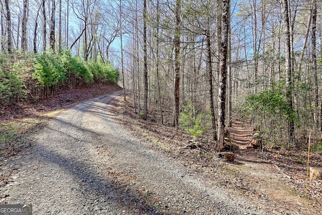 view of street with a forest view