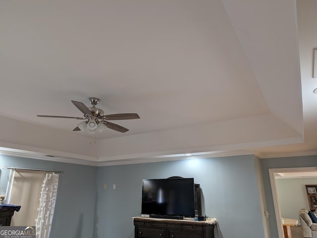 room details with ceiling fan and a tray ceiling