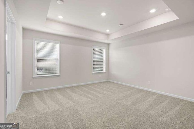 carpeted empty room with a raised ceiling and plenty of natural light