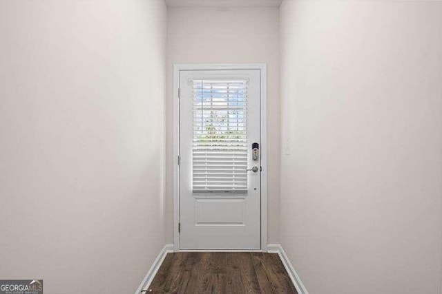 entryway featuring dark wood-type flooring