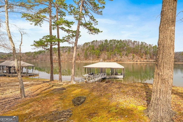 dock area with a water view