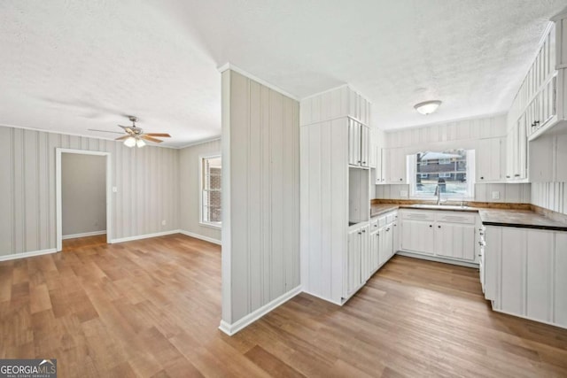 kitchen with a wealth of natural light, sink, light hardwood / wood-style flooring, and white cabinets