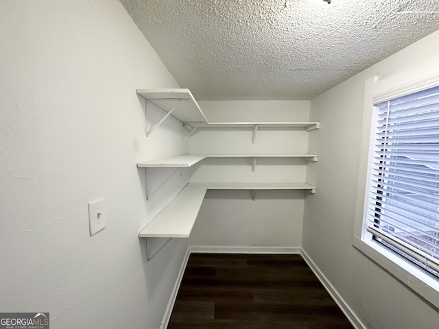 interior space featuring dark hardwood / wood-style floors