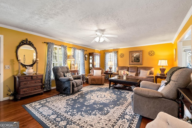 living room featuring dark hardwood / wood-style flooring, plenty of natural light, and ornamental molding