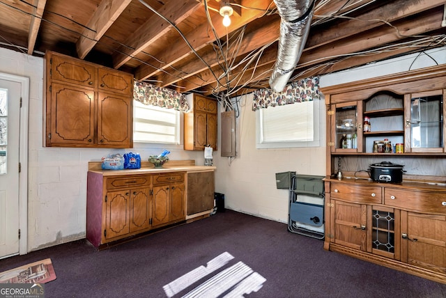 basement with electric panel and dark carpet