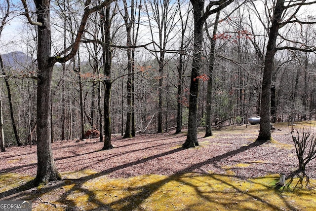 view of local wilderness