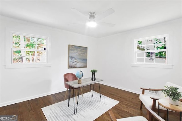 office space featuring dark wood-style floors, a ceiling fan, and baseboards