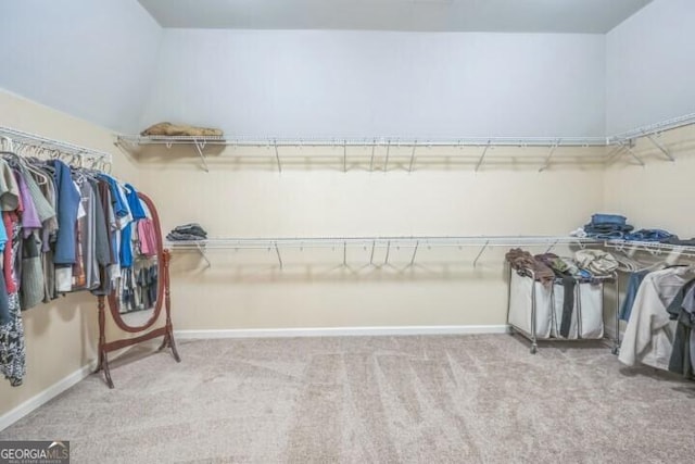 spacious closet with light colored carpet