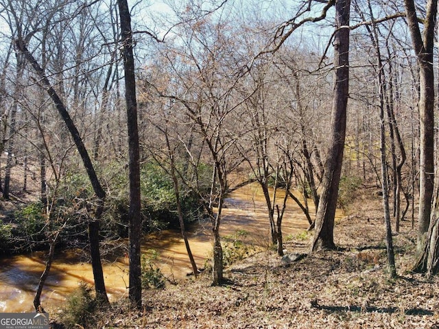 view of local wilderness