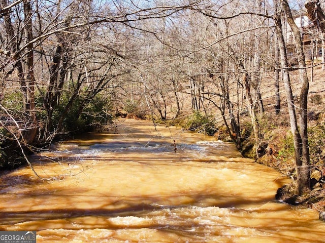 view of local wilderness