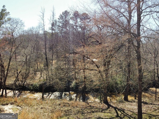 view of local wilderness