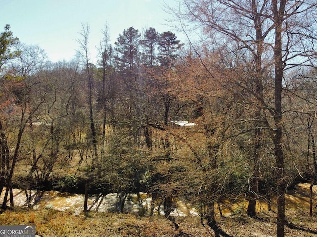 view of local wilderness