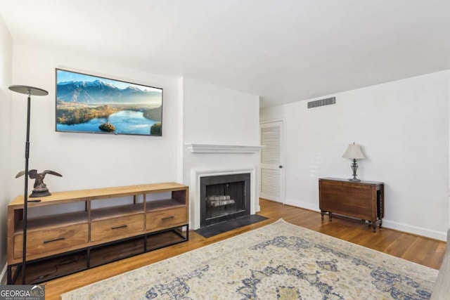 living room featuring wood-type flooring