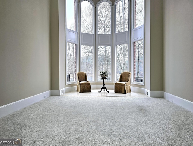 unfurnished room featuring a high ceiling and carpet floors