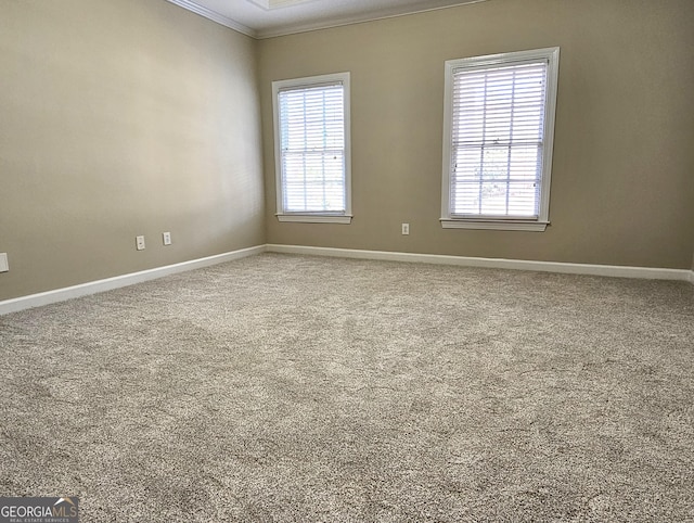 spare room with ornamental molding, plenty of natural light, and carpet flooring