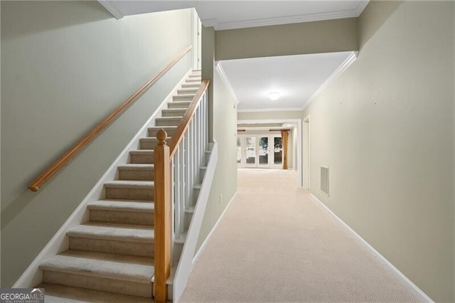 stairway with ornamental molding and carpet