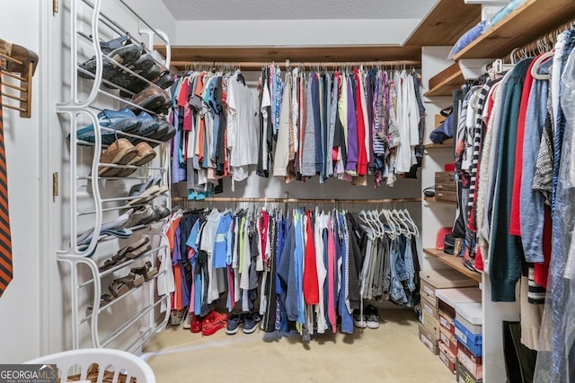 spacious closet with carpet