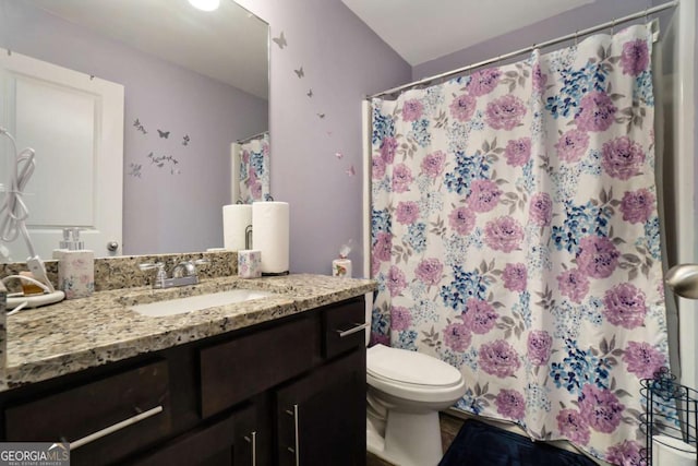 bathroom with vanity and toilet