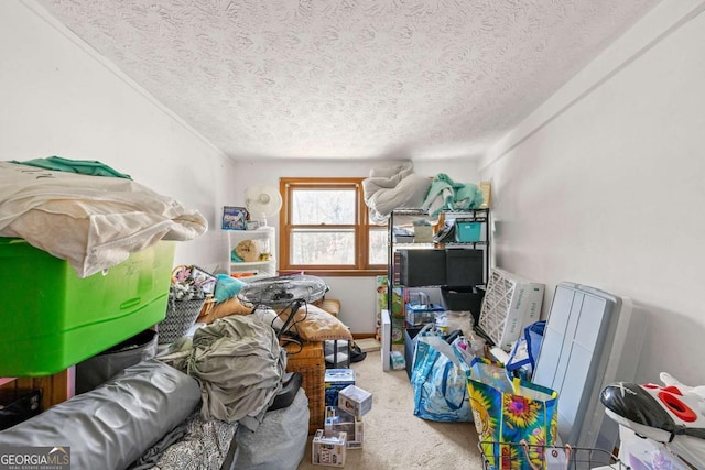 interior space with carpet floors and a textured ceiling