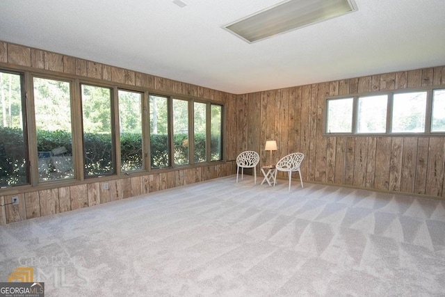 unfurnished sunroom with carpet flooring and wooden walls