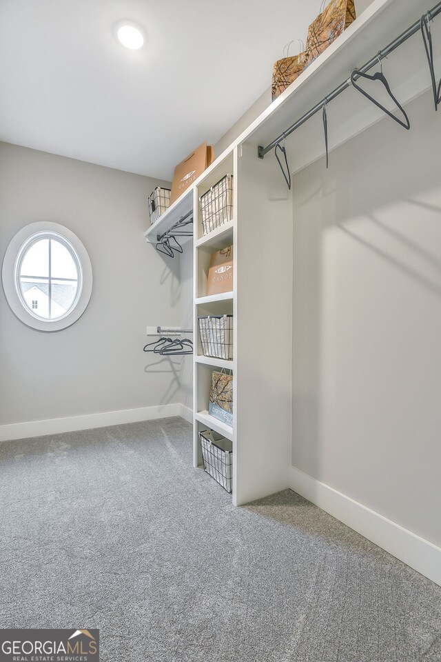 578 Brashy St, Woodstock, GA 30188 - spacious closet with carpet floors