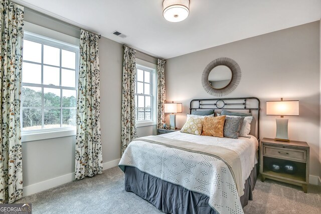 578 Brashy St, Woodstock, GA 30188 - view of carpeted bedroom