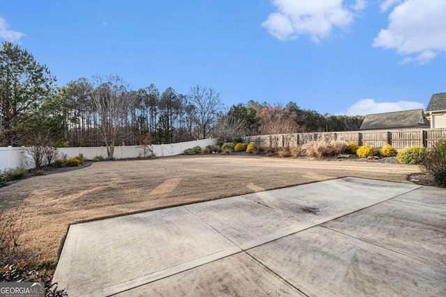 view of yard featuring a patio area