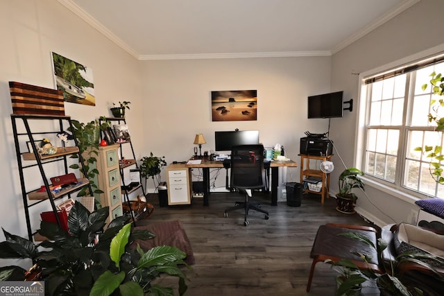 office with dark hardwood / wood-style flooring and ornamental molding