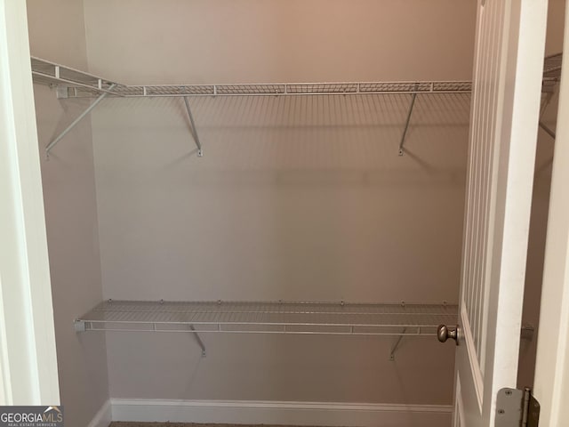 view of walk in closet