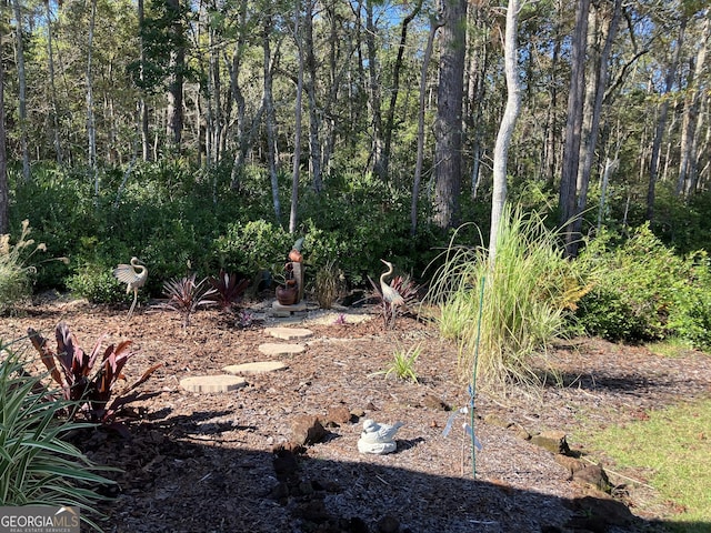 270 Bridgewater Ln SE, Darien, GA 31305 - view of yard