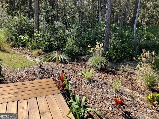 270 Bridgewater Ln SE, Darien, GA 31305 - view of yard