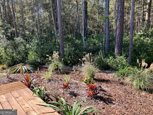 270 Bridgewater Ln SE, Darien, GA 31305 - view of yard