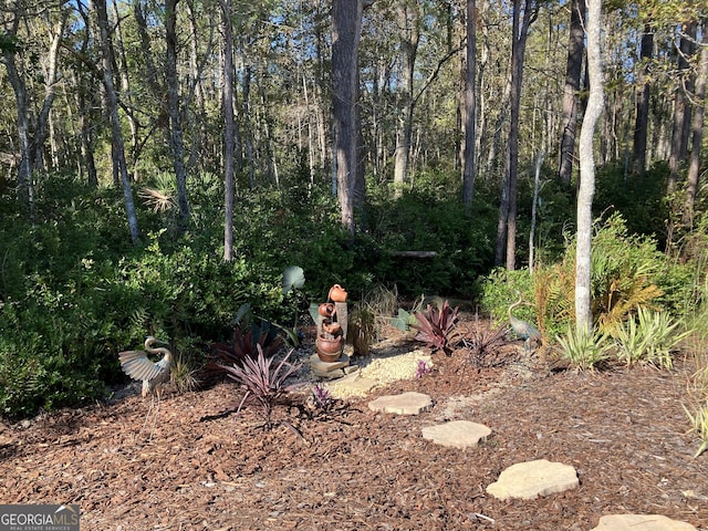 270 Bridgewater Ln SE, Darien, GA 31305 - view of yard