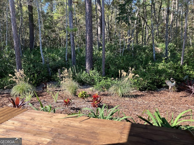 view of yard featuring a deck