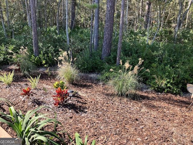 view of local wilderness