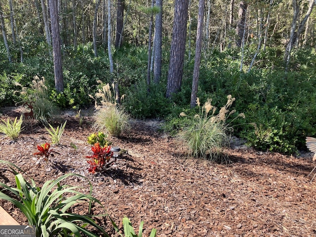 270 Bridgewater Ln SE, Darien, GA 31305 - view of undeveloped land