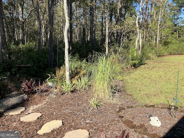 270 Bridgewater Ln SE, Darien, GA 31305 - view of nature