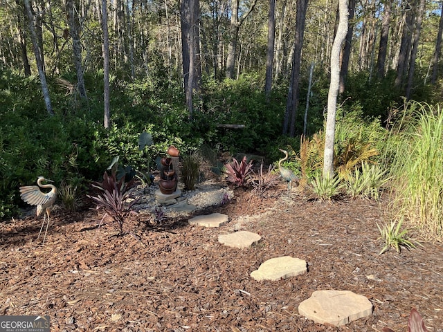 270 Bridgewater Ln SE, Darien, GA 31305 - view of undeveloped land