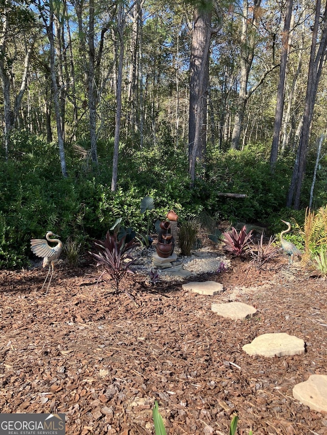270 Bridgewater Ln SE, Darien, GA 31305 - view of yard