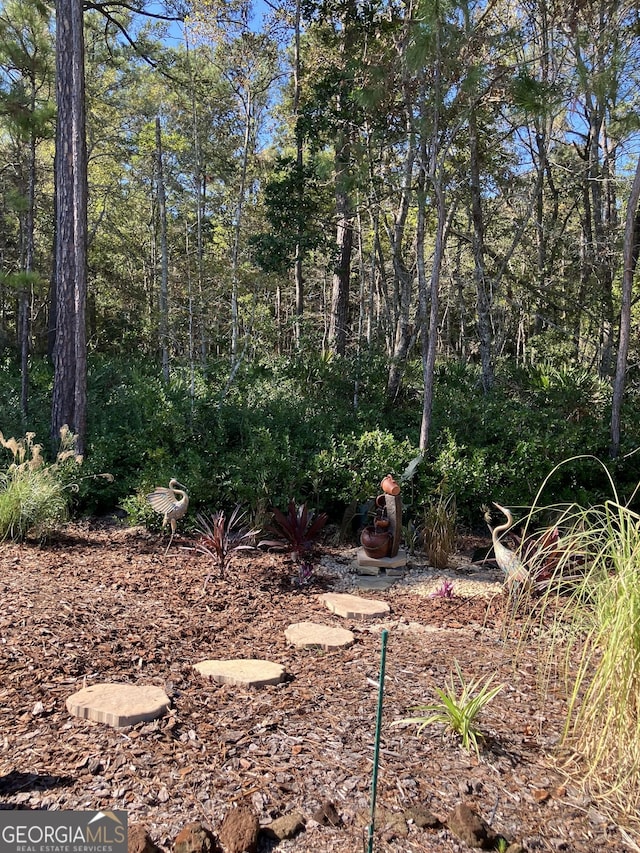 270 Bridgewater Ln SE, Darien, GA 31305 - view of yard