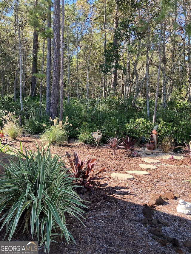 270 Bridgewater Ln SE, Darien, GA 31305 - view of yard