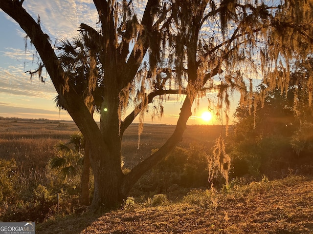 view of nature at dusk