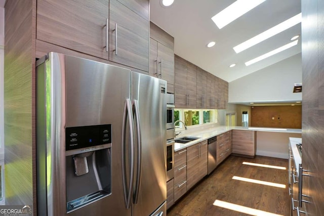 kitchen with sink, a skylight, high vaulted ceiling, dark hardwood / wood-style floors, and stainless steel appliances