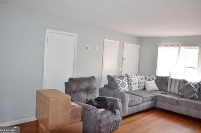 living room with wood-type flooring