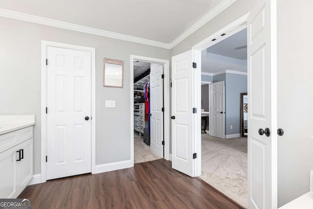 interior space featuring ornamental molding, dark hardwood / wood-style floors, a closet, and a spacious closet