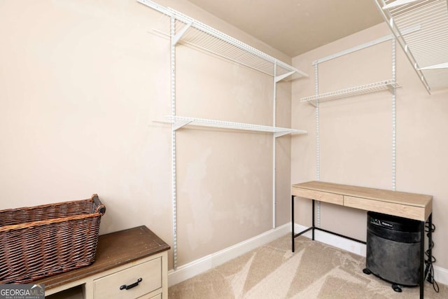 walk in closet featuring light carpet