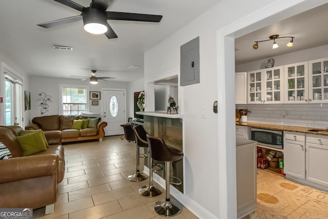 living room featuring ceiling fan and electric panel